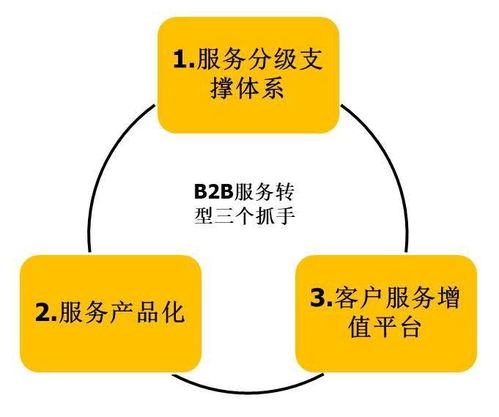 B2B服務(wù)數(shù)字化轉(zhuǎn)型 信息技術(shù)咨詢服務(wù)的核心價(jià)值與實(shí)踐路徑